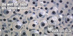 Wikipedia